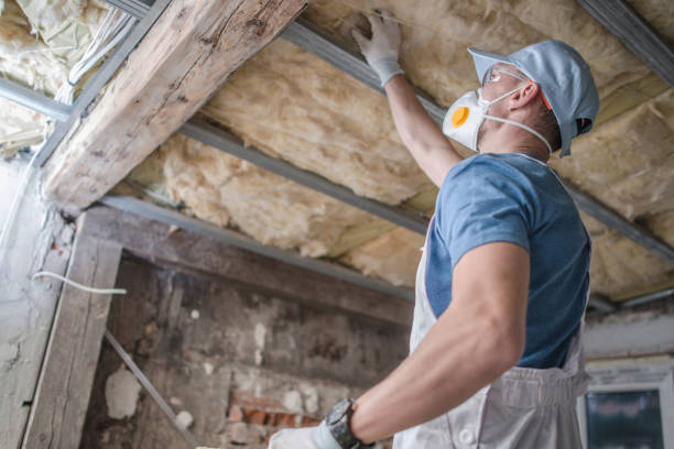 Best Crawl Space Insulation  in Alcoa, TN
