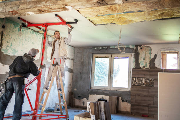 Best Insulation Contractors for Homes  in Alcoa, TN