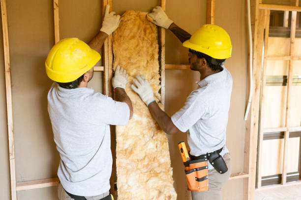 Best Soundproof Insulation Installation  in Alcoa, TN