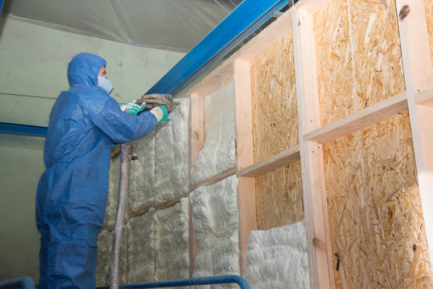 Best Attic Insulation Installation  in Alcoa, TN